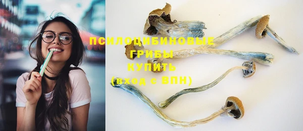 мет Бежецк