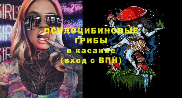 PSILOCYBIN Абдулино