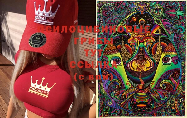 ПСИЛОЦИБИНОВЫЕ ГРИБЫ Навашино