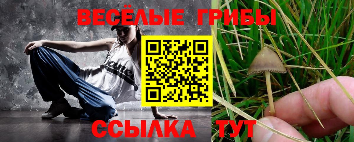 Псилоцибиновые грибы Cubensis  Вход с VPN  Дубна 