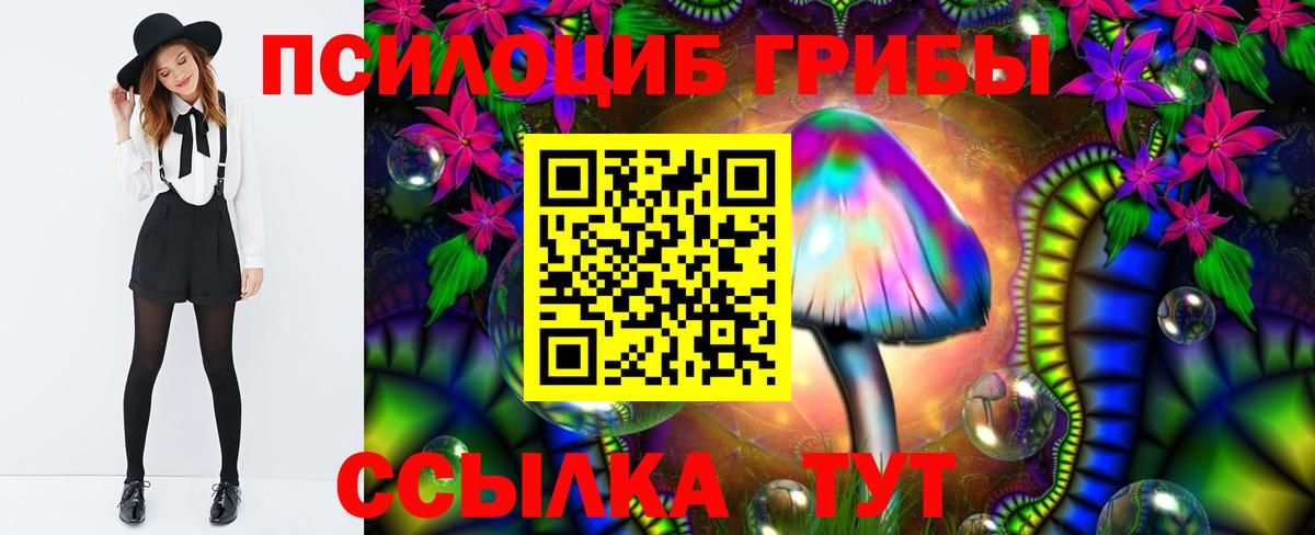 Псилоцибиновые грибы мухоморы  Псилоцибиновые грибы Psilocybe  продажа наркотиков  Дубна 